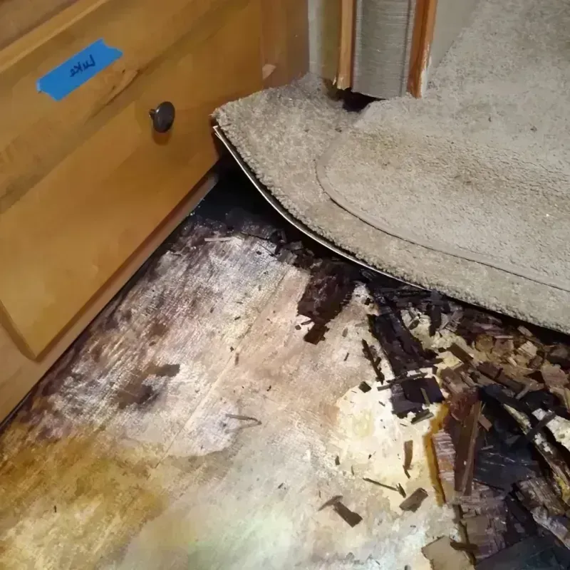 Wood Floor Water Damage in New Orleans, LA